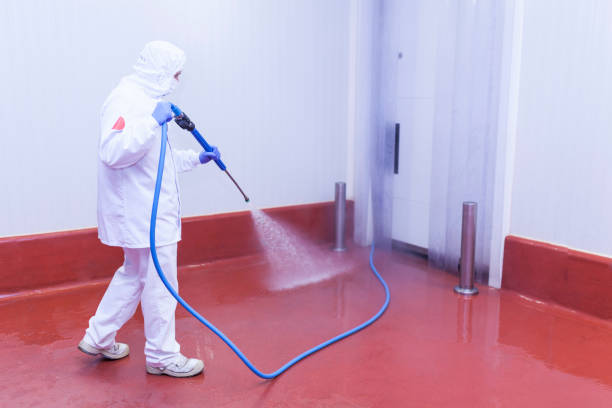 Best Sidewalk and Walkway Cleaning  in New Madison, OH