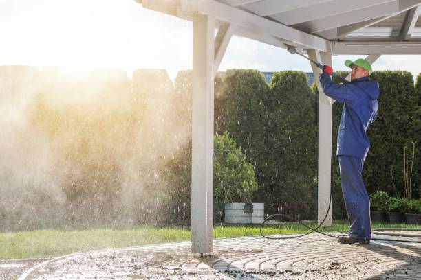 Best Animal Enclosure Cleaning  in New Madison, OH